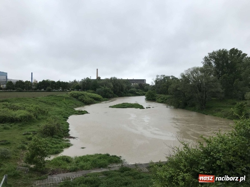 Zdjęcie w galerii na portalu naszraciborz.pl: Stany ostrzegawcze na Odrze wciąż przekroczone [FOTO i WIDEO] wiadomości z regionu
