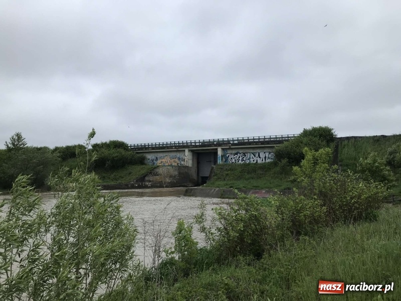 Zdjęcie w galerii na portalu naszraciborz.pl: Stany ostrzegawcze na Odrze wciąż przekroczone [FOTO i WIDEO] wiadomości z regionu