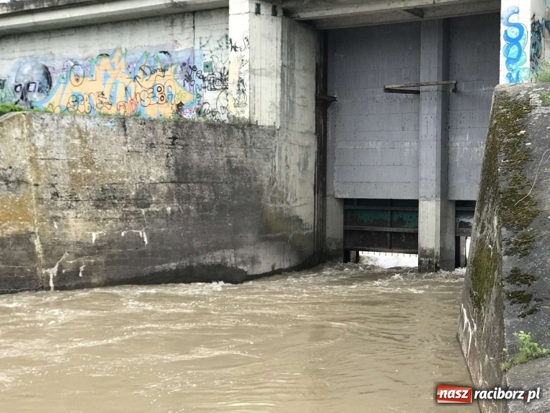 Zdjęcie w galerii na portalu naszraciborz.pl: Stany ostrzegawcze na Odrze wciąż przekroczone [FOTO i WIDEO] wiadomości z regionu