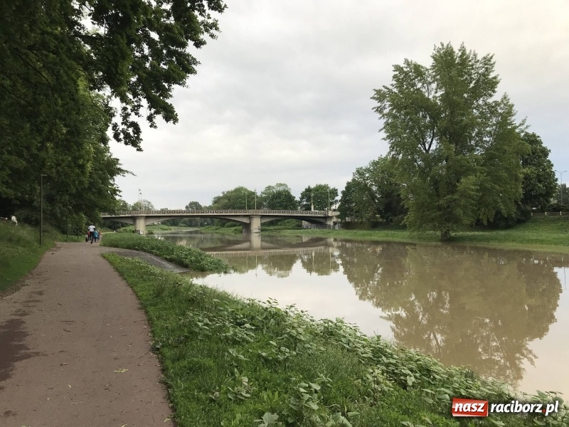 Zdjęcie w galerii na portalu naszraciborz.pl: Pogotowie przeciwpowodziowe w Turzu i Rudzie. Polder w gotowości. Plaża bez obrony  wiadomości z regionu