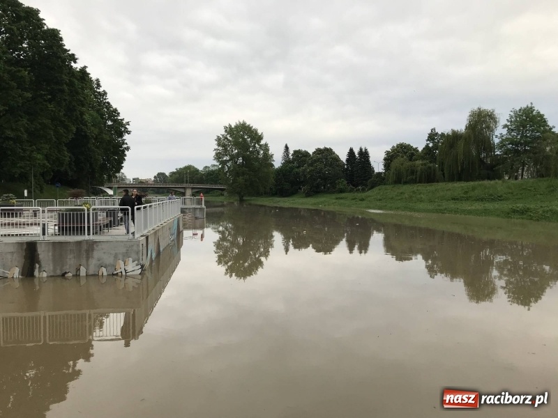 Zdjęcie w galerii na portalu naszraciborz.pl: Pogotowie przeciwpowodziowe w Turzu i Rudzie. Polder w gotowości. Plaża bez obrony  wiadomości z regionu