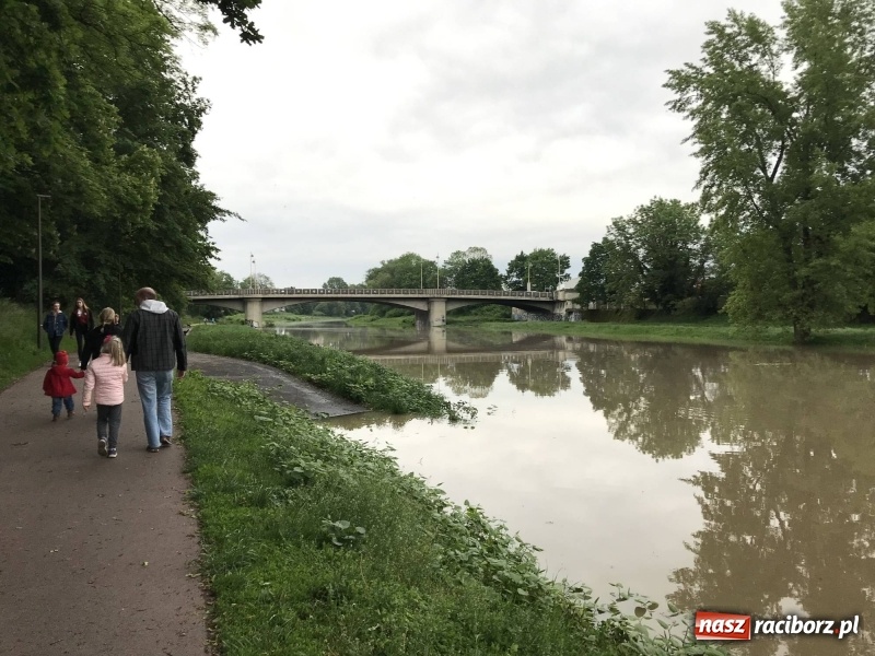 Zdjęcie w galerii na portalu naszraciborz.pl: Pogotowie przeciwpowodziowe w Turzu i Rudzie. Polder w gotowości. Plaża bez obrony  wiadomości z regionu
