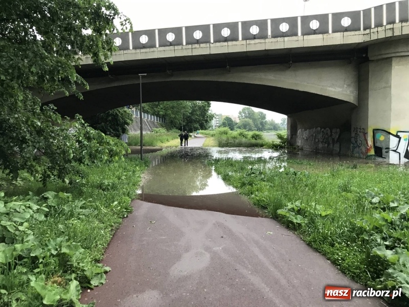 Zdjęcie w galerii na portalu naszraciborz.pl: Pogotowie przeciwpowodziowe w Turzu i Rudzie. Polder w gotowości. Plaża bez obrony  wiadomości z regionu
