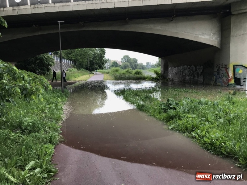 Zdjęcie w galerii na portalu naszraciborz.pl: Pogotowie przeciwpowodziowe w Turzu i Rudzie. Polder w gotowości. Plaża bez obrony  wiadomości z regionu