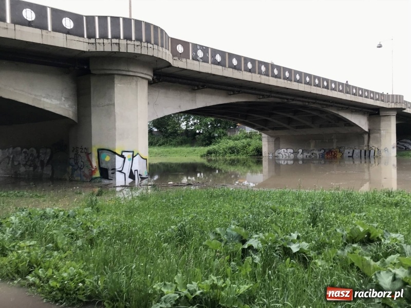 Zdjęcie w galerii na portalu naszraciborz.pl: Pogotowie przeciwpowodziowe w Turzu i Rudzie. Polder w gotowości. Plaża bez obrony  wiadomości z regionu