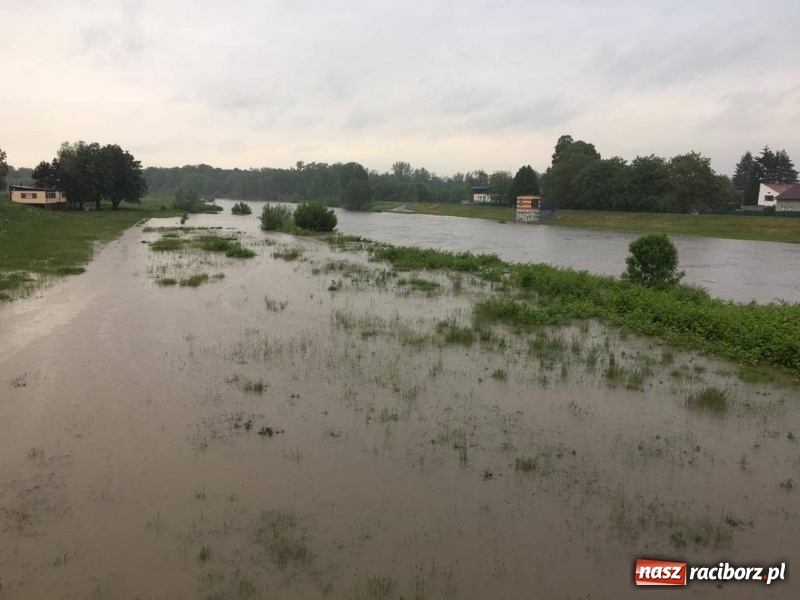 Zdjęcie w galerii na portalu naszraciborz.pl: Pogotowie przeciwpowodziowe w Turzu i Rudzie. Polder w gotowości. Plaża bez obrony  wiadomości z regionu