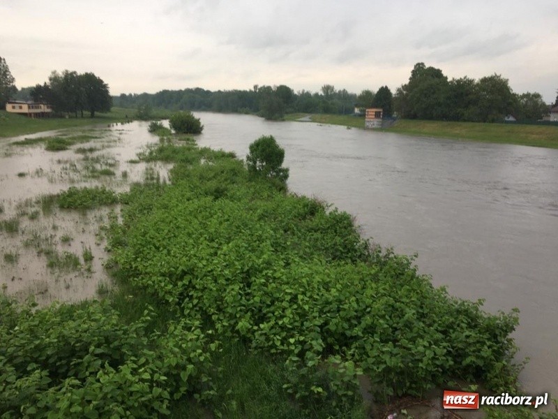 Zdjęcie w galerii na portalu naszraciborz.pl: Pogotowie przeciwpowodziowe w Turzu i Rudzie. Polder w gotowości. Plaża bez obrony  wiadomości z regionu
