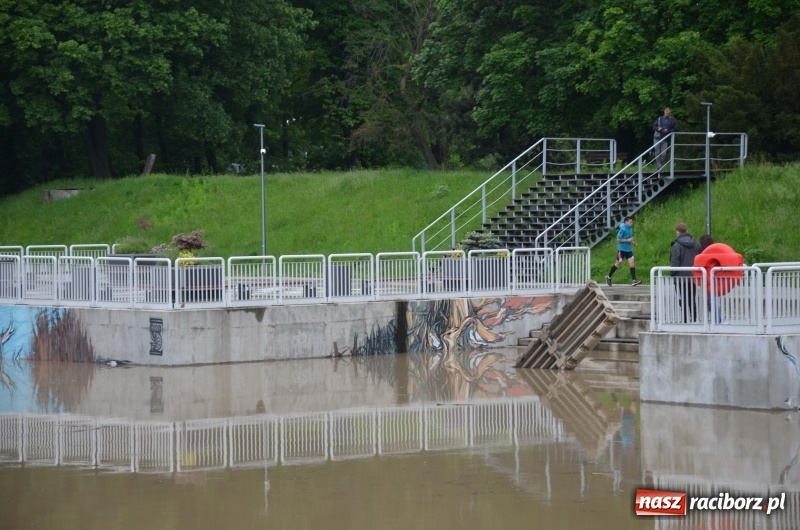 Zdjęcie w galerii na portalu naszraciborz.pl: Pogotowie przeciwpowodziowe w Turzu i Rudzie. Polder w gotowości. Plaża bez obrony  wiadomości z regionu