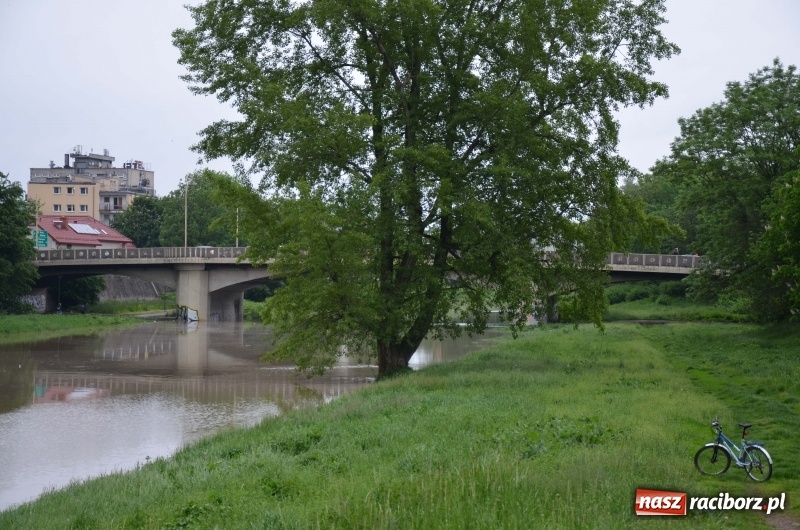 Zdjęcie w galerii na portalu naszraciborz.pl: Pogotowie przeciwpowodziowe w Turzu i Rudzie. Polder w gotowości. Plaża bez obrony  wiadomości z regionu