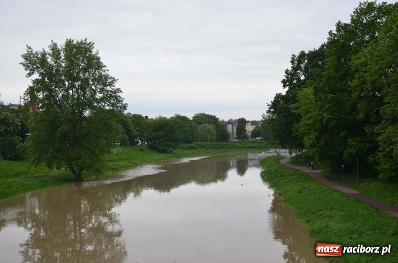 Zdjęcie w galerii na portalu naszraciborz.pl: Pogotowie przeciwpowodziowe w Turzu i Rudzie. Polder w gotowości. Plaża bez obrony  wiadomości z regionu