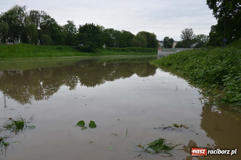 Zdjęcie w galerii na portalu naszraciborz.pl: Pogotowie przeciwpowodziowe w Turzu i Rudzie. Polder w gotowości. Plaża bez obrony  wiadomości z regionu