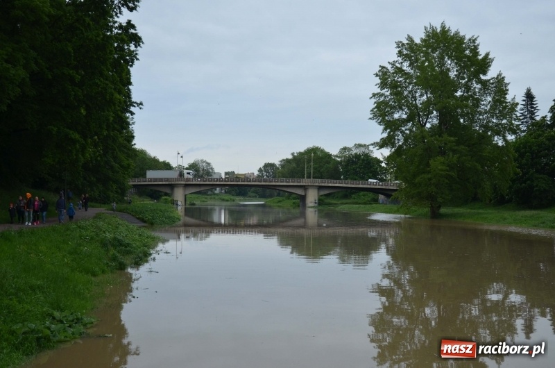 Zdjęcie w galerii na portalu naszraciborz.pl: Pogotowie przeciwpowodziowe w Turzu i Rudzie. Polder w gotowości. Plaża bez obrony  wiadomości z regionu