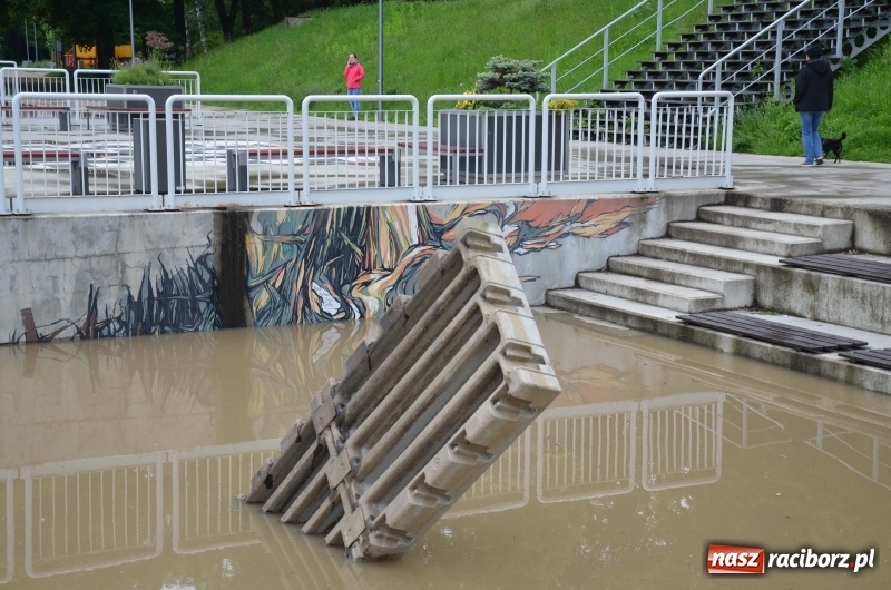 Zdjęcie w galerii na portalu naszraciborz.pl: Pogotowie przeciwpowodziowe w Turzu i Rudzie. Polder w gotowości. Plaża bez obrony  wiadomości z regionu