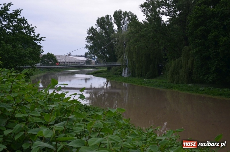 Zdjęcie w galerii na portalu naszraciborz.pl: Pogotowie przeciwpowodziowe w Turzu i Rudzie. Polder w gotowości. Plaża bez obrony  wiadomości z regionu