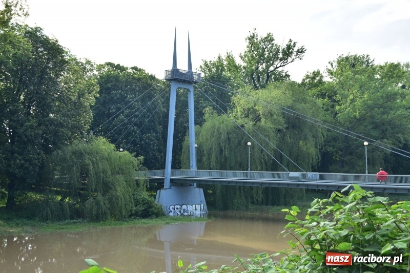 Zdjęcie w galerii na portalu naszraciborz.pl: Odra podtopiła plażę w parku Zamkowym  wiadomości z regionu