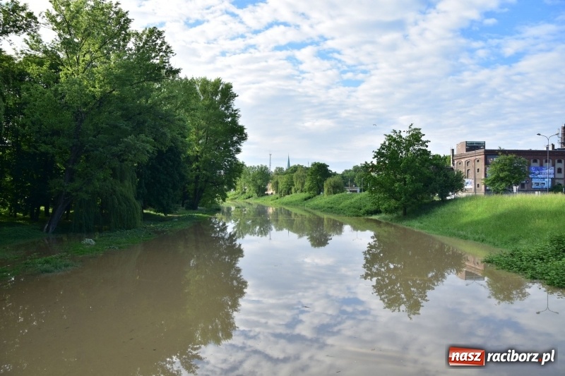 Zdjęcie w galerii na portalu naszraciborz.pl: Odra podtopiła plażę w parku Zamkowym  wiadomości z regionu