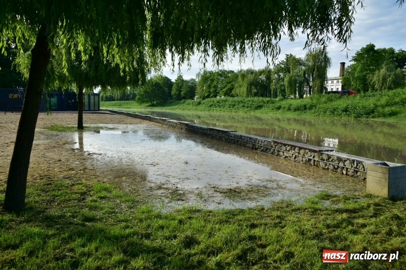 Zdjęcie w galerii na portalu naszraciborz.pl: Odra podtopiła plażę w parku Zamkowym  wiadomości z regionu