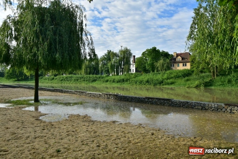 Zdjęcie w galerii na portalu naszraciborz.pl: Odra podtopiła plażę w parku Zamkowym  wiadomości z regionu