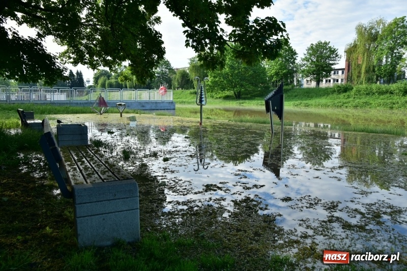 Zdjęcie w galerii na portalu naszraciborz.pl: Odra podtopiła plażę w parku Zamkowym  wiadomości z regionu
