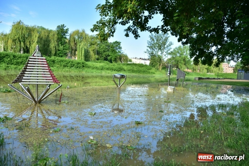 Zdjęcie w galerii na portalu naszraciborz.pl: Odra podtopiła plażę w parku Zamkowym  wiadomości z regionu