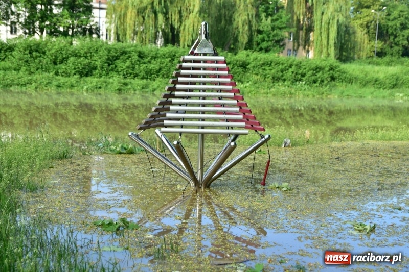 Zdjęcie w galerii na portalu naszraciborz.pl: Odra podtopiła plażę w parku Zamkowym  wiadomości z regionu