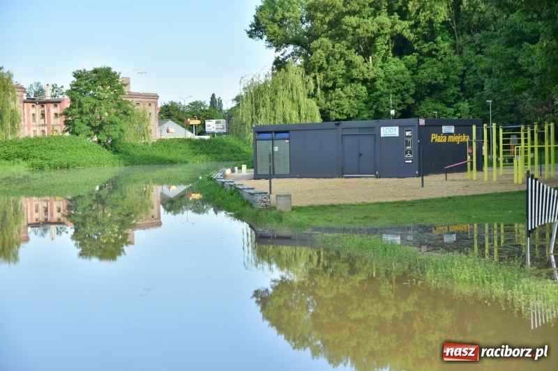 Zdjęcie w galerii na portalu naszraciborz.pl: Odra podtopiła plażę w parku Zamkowym  wiadomości z regionu