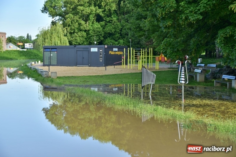 Zdjęcie w galerii na portalu naszraciborz.pl: Odra podtopiła plażę w parku Zamkowym  wiadomości z regionu