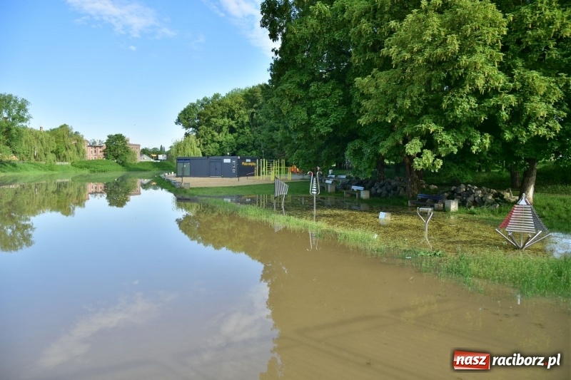 Zdjęcie w galerii na portalu naszraciborz.pl: Odra podtopiła plażę w parku Zamkowym  wiadomości z regionu