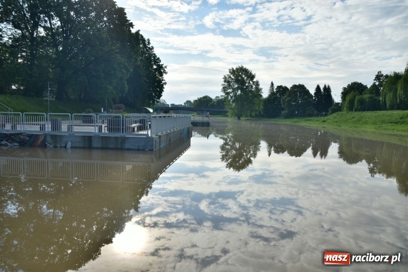 Zdjęcie w galerii na portalu naszraciborz.pl: Odra podtopiła plażę w parku Zamkowym  wiadomości z regionu