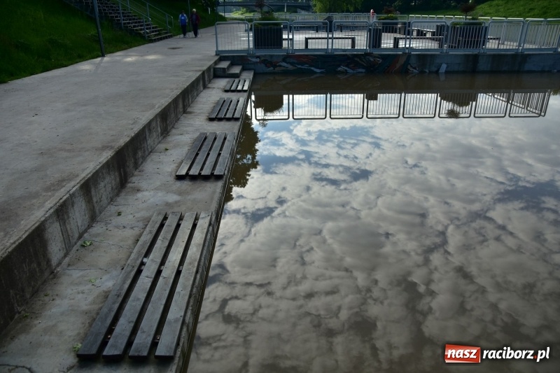 Zdjęcie w galerii na portalu naszraciborz.pl: Odra podtopiła plażę w parku Zamkowym  wiadomości z regionu