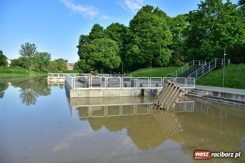 Zdjęcie w galerii na portalu naszraciborz.pl: Odra podtopiła plażę w parku Zamkowym  wiadomości z regionu