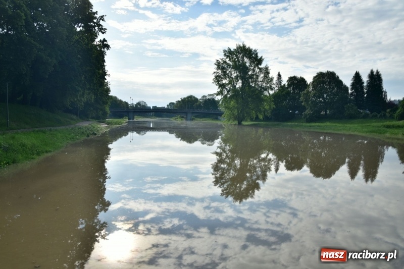 Zdjęcie w galerii na portalu naszraciborz.pl: Odra podtopiła plażę w parku Zamkowym  wiadomości z regionu