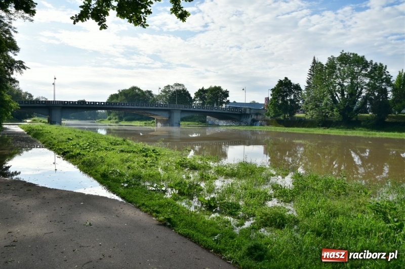 Zdjęcie w galerii na portalu naszraciborz.pl: Odra podtopiła plażę w parku Zamkowym  wiadomości z regionu