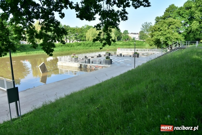 Zdjęcie w galerii na portalu naszraciborz.pl: Odra podtopiła plażę w parku Zamkowym  wiadomości z regionu