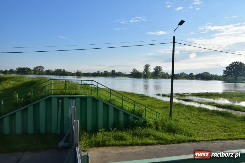 Zdjęcie w galerii na portalu naszraciborz.pl: Odra podtopiła plażę w parku Zamkowym  wiadomości z regionu