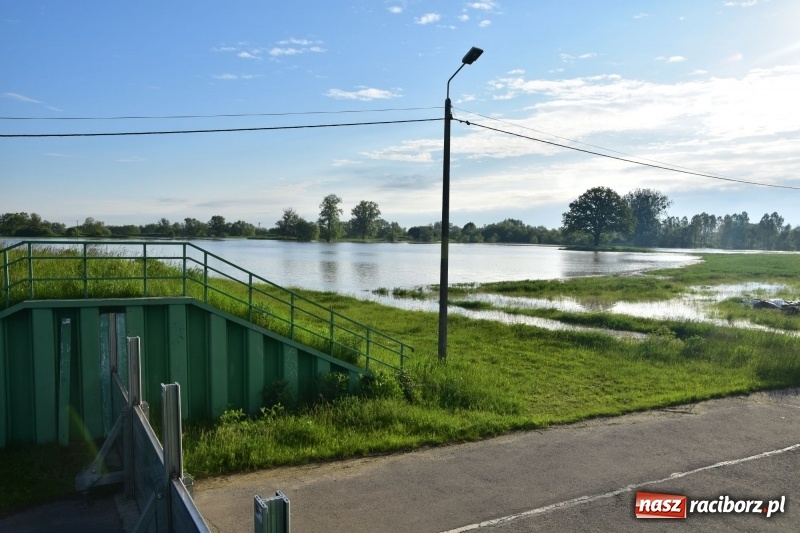 Zdjęcie w galerii na portalu naszraciborz.pl: Odra podtopiła plażę w parku Zamkowym  wiadomości z regionu