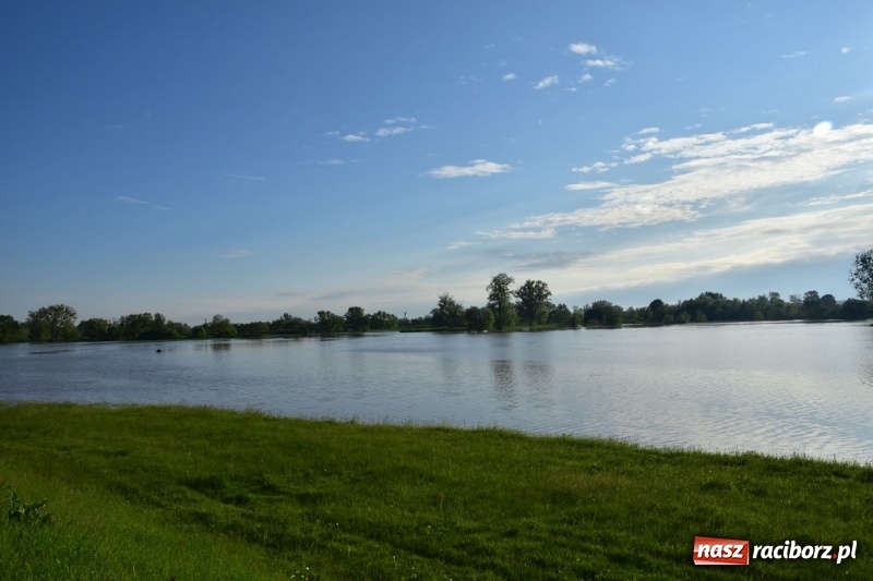 Zdjęcie w galerii na portalu naszraciborz.pl: Odra podtopiła plażę w parku Zamkowym  wiadomości z regionu