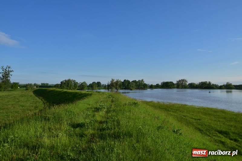 Zdjęcie w galerii na portalu naszraciborz.pl: Odra podtopiła plażę w parku Zamkowym  wiadomości z regionu