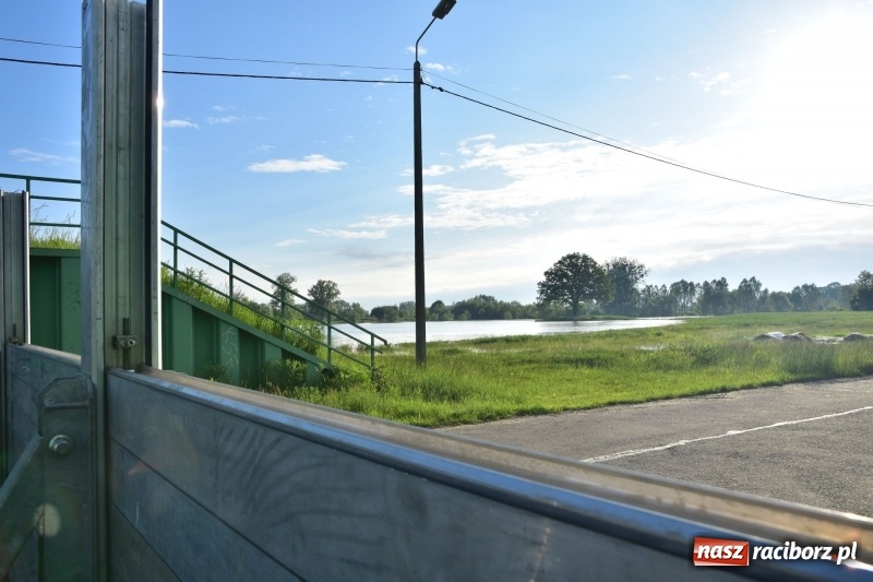 Zdjęcie w galerii na portalu naszraciborz.pl: Odra podtopiła plażę w parku Zamkowym  wiadomości z regionu