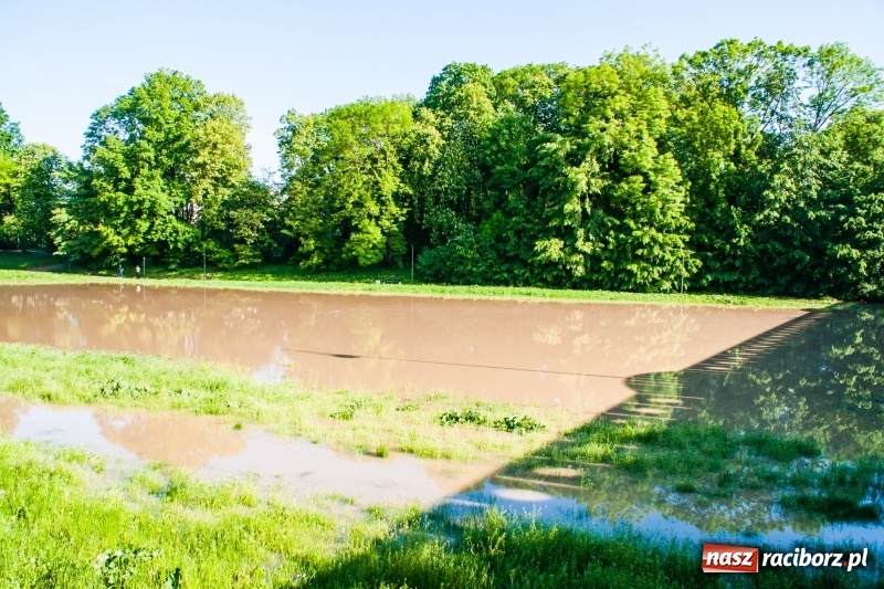 Zdjęcie w galerii na portalu naszraciborz.pl: Odra podtopiła plażę w parku Zamkowym  wiadomości z regionu
