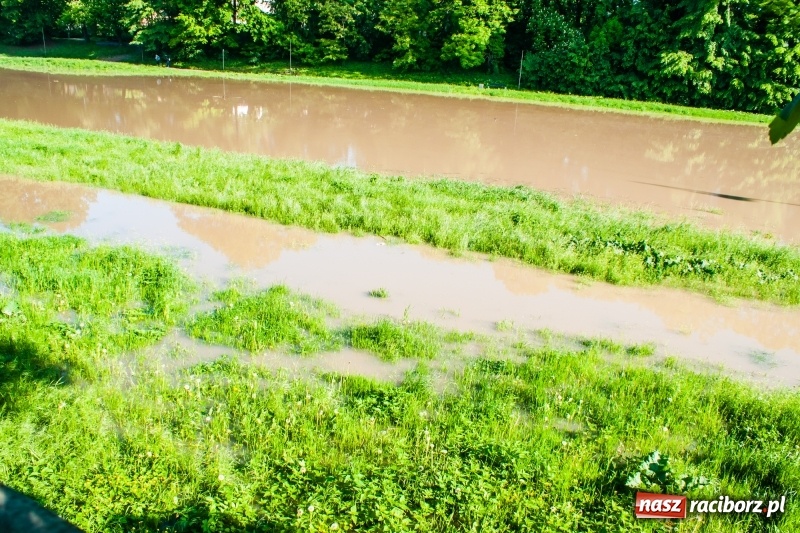 Zdjęcie w galerii na portalu naszraciborz.pl: Odra podtopiła plażę w parku Zamkowym  wiadomości z regionu
