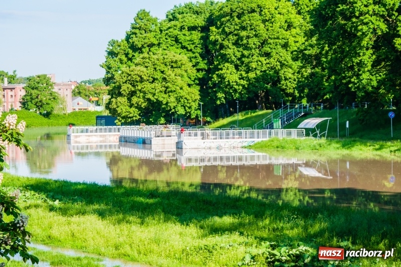 Zdjęcie w galerii na portalu naszraciborz.pl: Odra podtopiła plażę w parku Zamkowym  wiadomości z regionu
