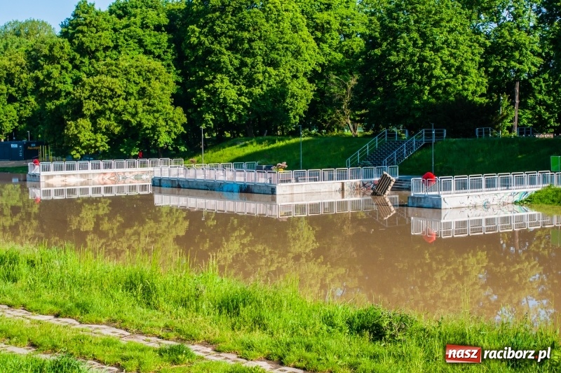 Zdjęcie w galerii na portalu naszraciborz.pl: Odra podtopiła plażę w parku Zamkowym  wiadomości z regionu
