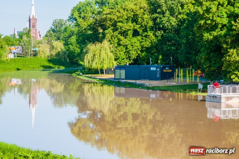 Zdjęcie w galerii na portalu naszraciborz.pl: Odra podtopiła plażę w parku Zamkowym  wiadomości z regionu
