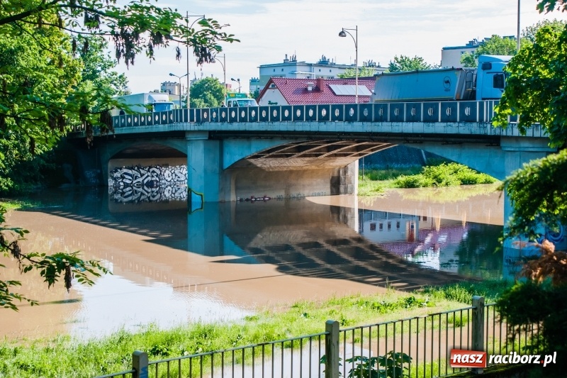 Zdjęcie w galerii na portalu naszraciborz.pl: Odra podtopiła plażę w parku Zamkowym  wiadomości z regionu