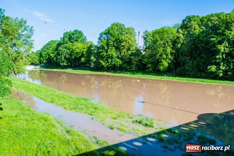 Zdjęcie w galerii na portalu naszraciborz.pl: Odra podtopiła plażę w parku Zamkowym  wiadomości z regionu