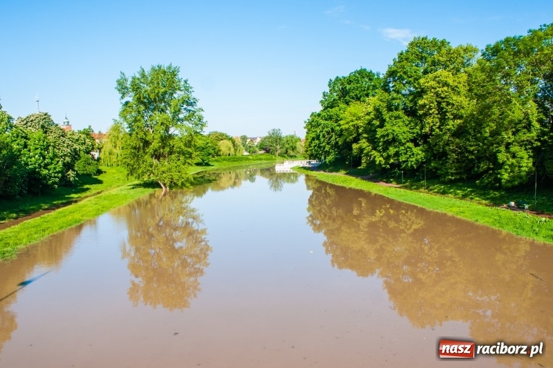 Zdjęcie w galerii na portalu naszraciborz.pl: Odra podtopiła plażę w parku Zamkowym  wiadomości z regionu