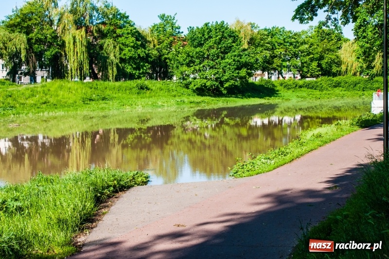 Zdjęcie w galerii na portalu naszraciborz.pl: Odra podtopiła plażę w parku Zamkowym  wiadomości z regionu
