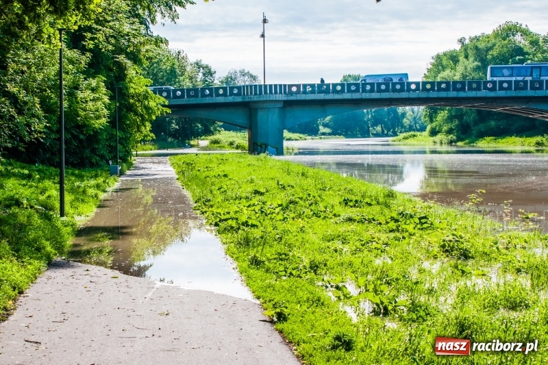 Zdjęcie w galerii na portalu naszraciborz.pl: Odra podtopiła plażę w parku Zamkowym  wiadomości z regionu