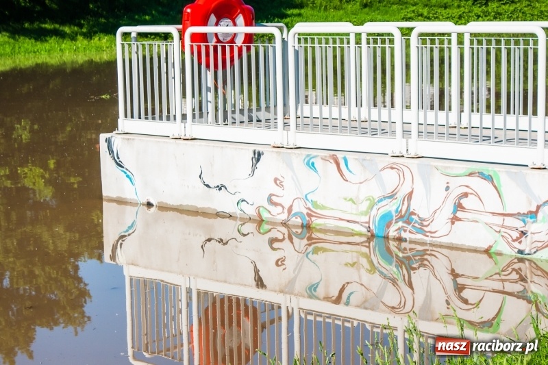 Zdjęcie w galerii na portalu naszraciborz.pl: Odra podtopiła plażę w parku Zamkowym  wiadomości z regionu